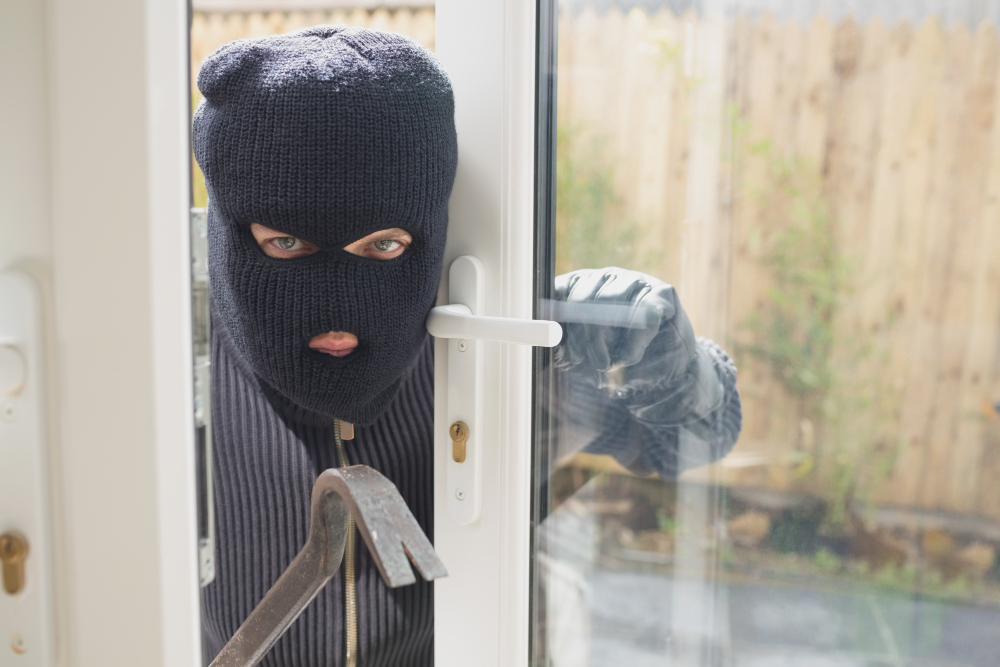 Bloccato dopo il furto e l’aggressione a una guardia