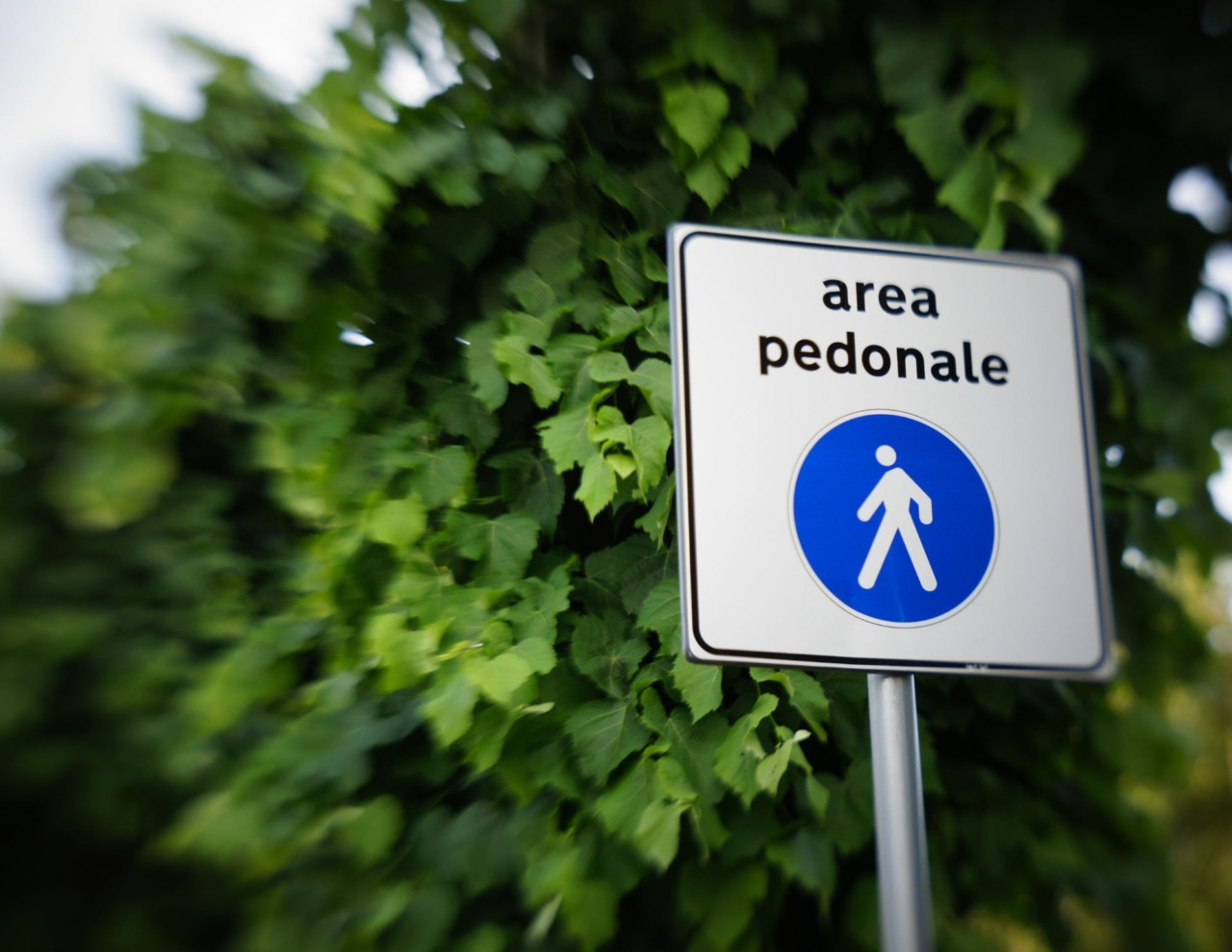 Via Borghesi diventa isola pedonale dopo la riqualificazione