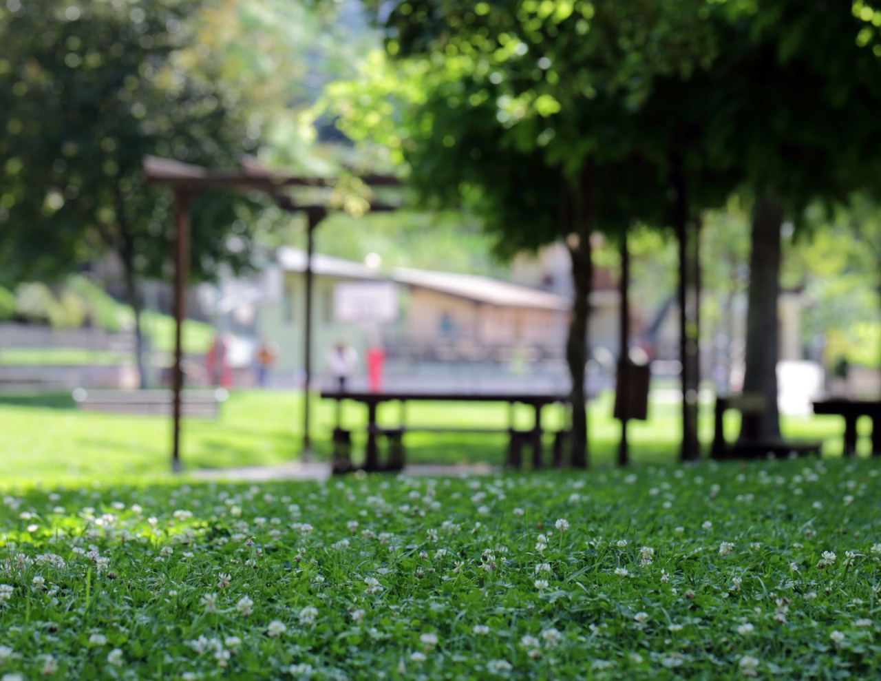Parma, cinque milioni l’anno per tutelare il verde urbano