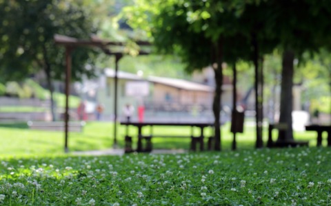 Parma, cinque milioni l’anno per tutelare il verde urbano